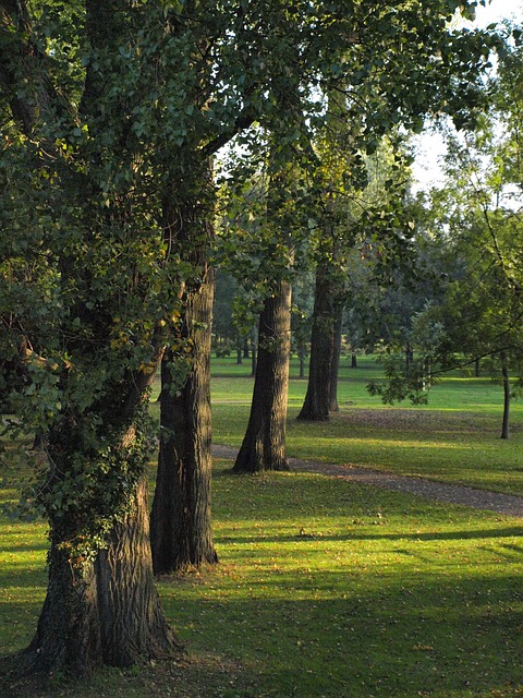 g4e41b8f0f0d579d7435347d260fba9f9738aab0b0ec16e21f4100374d0688c3324fc39baea1946a9fa208e40d4a610f4 640