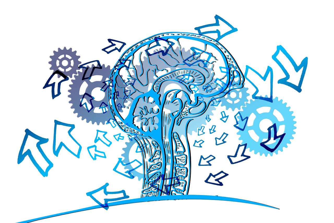 découvrez l'essentiel du change management : méthodes, conseils et bonnes pratiques pour réussir la transformation de votre entreprise. adoptez le changement efficacement avec nos ressources dédiées.