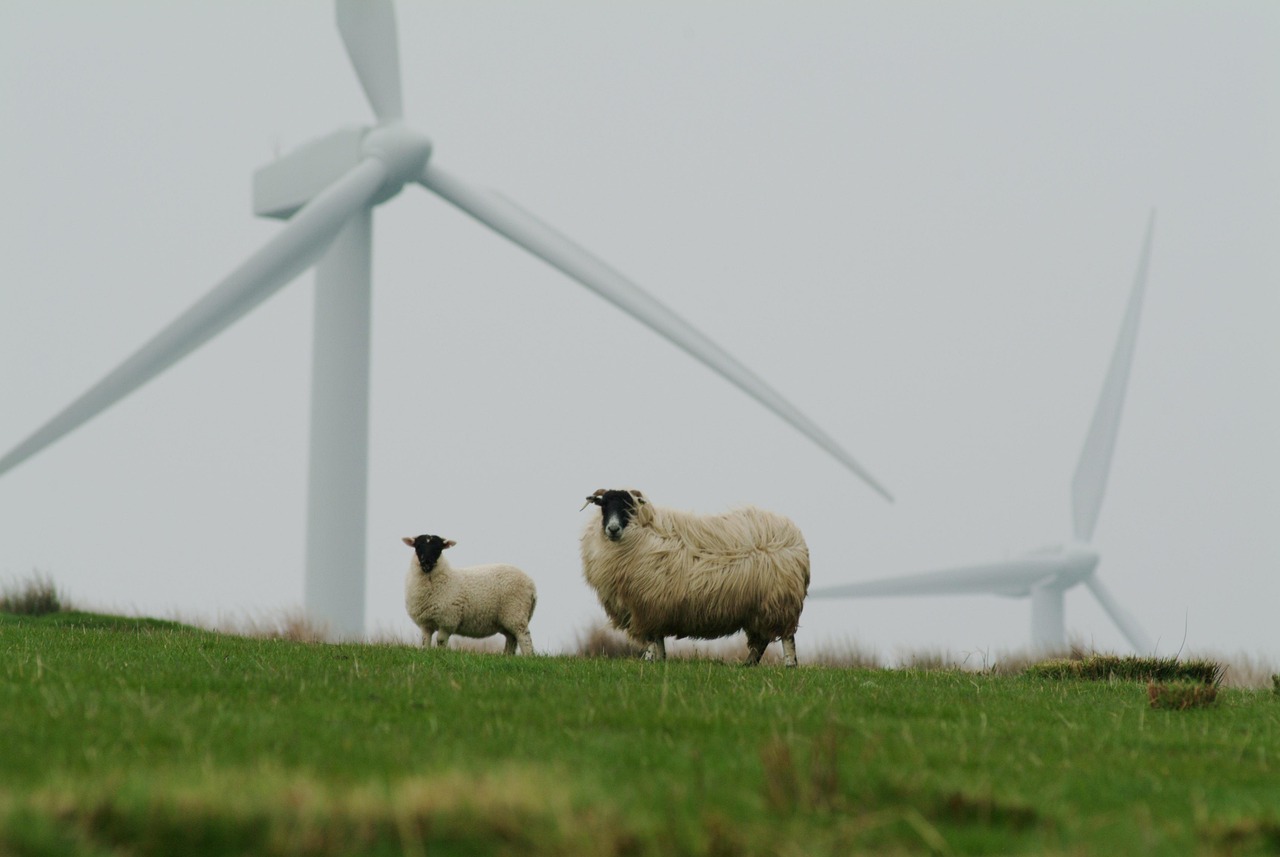 découvrez l'importance de la sustainability et comment adopter des pratiques durables pour protéger l'environnement, économiser les ressources naturelles et garantir un avenir meilleur pour tous.